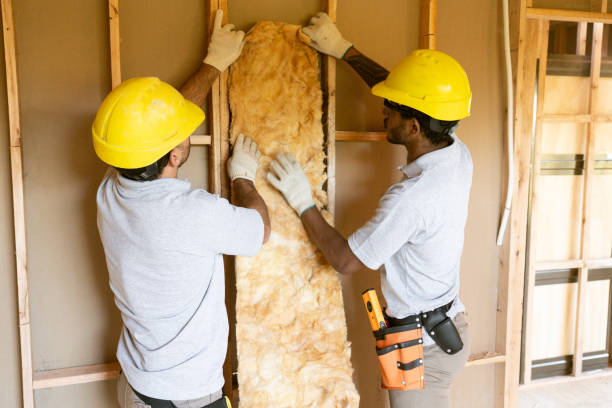 Best Insulation Replacement Services  in Bressler, PA