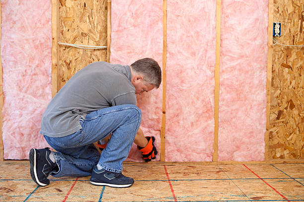 Best Cellulose Insulation  in Bressler, PA